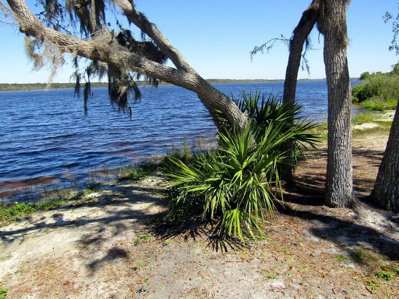 Lake Manatee State Park, Florida, USA